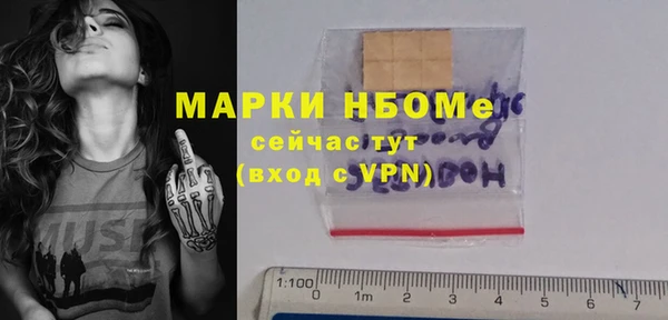 прущие грибы Гусиноозёрск