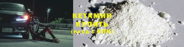 прущие грибы Гусиноозёрск