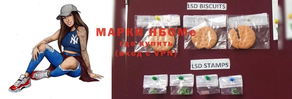 прущие грибы Гусиноозёрск