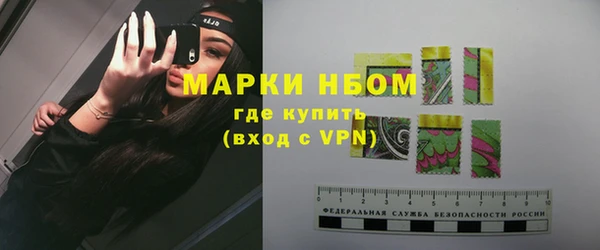 прущие грибы Гусиноозёрск
