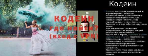 прущие грибы Гусиноозёрск