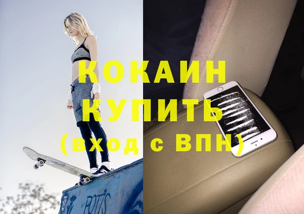 прущие грибы Гусиноозёрск
