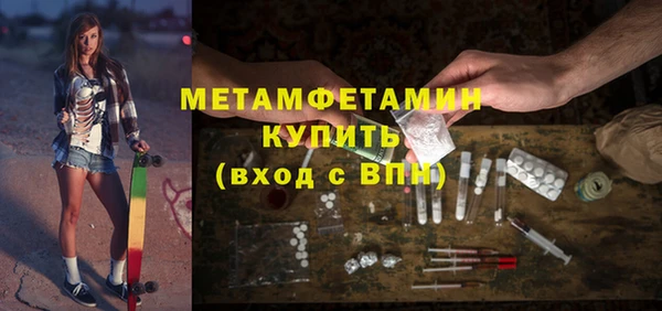 прущие грибы Гусиноозёрск