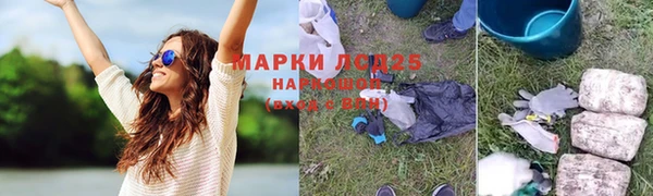 прущие грибы Гусиноозёрск